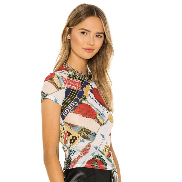 Miaou Tops - NWOT Miaou Mesh Mini Tee in Figaro SZ XS